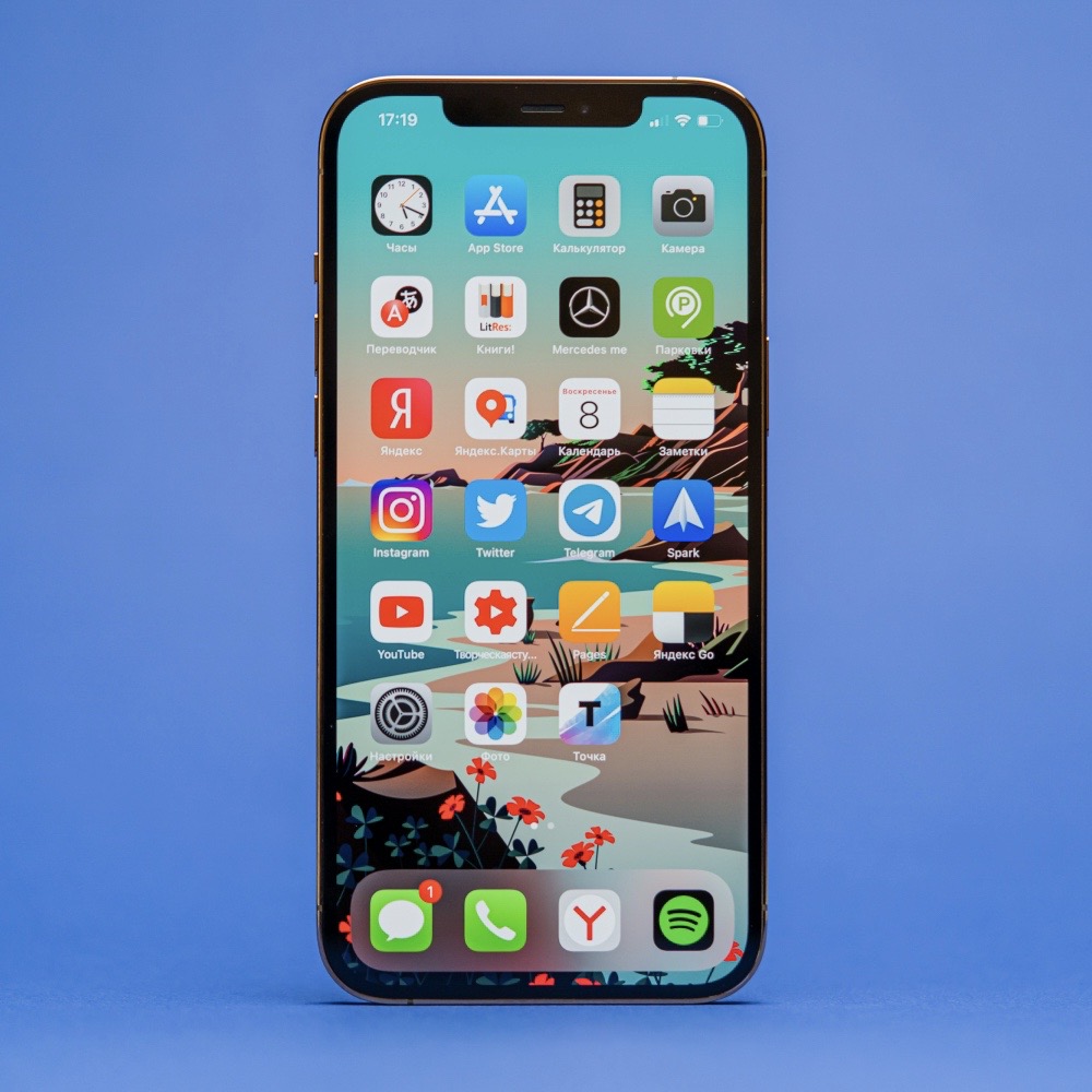 LCD iPhone Xs Max снятый